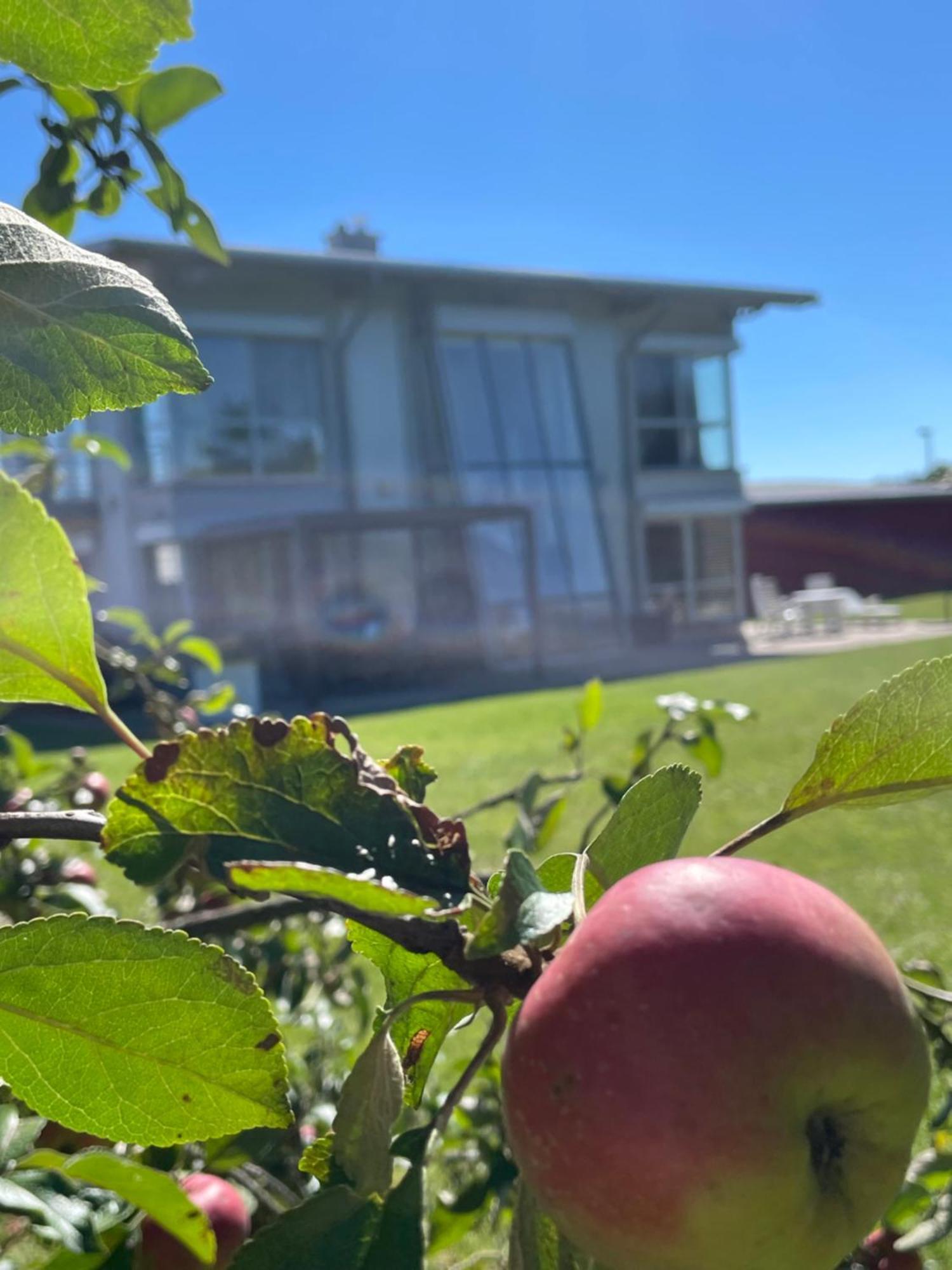 Villa Wanderlux Zella-Mehlis Exteriör bild